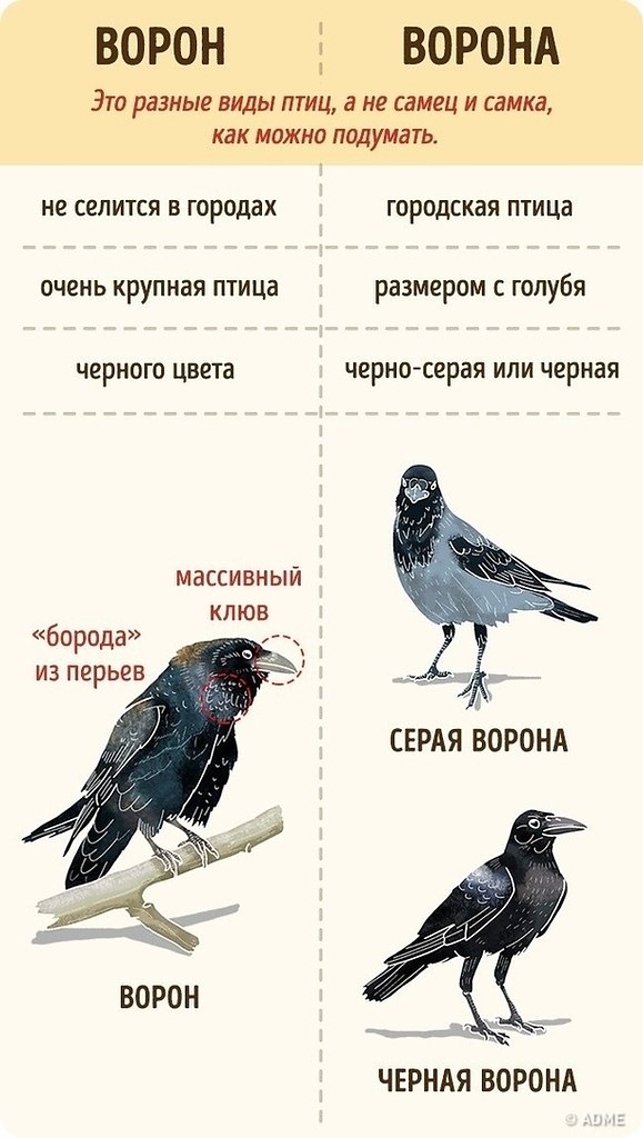 10 o e, e  e e  . - 10