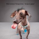 ���� ����, ������� ������, 56 ��� - ��������� 21 ������� 2018 � ������ ������ ��������