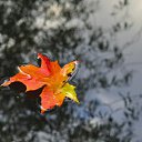 ���� Aleksa, ������, 30 ��� - ��������� 25 ������� 2018 � ������ ������ ��������