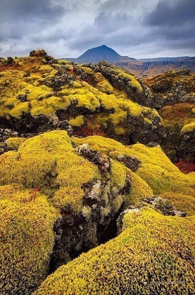 ������� ����������� ������� - 5