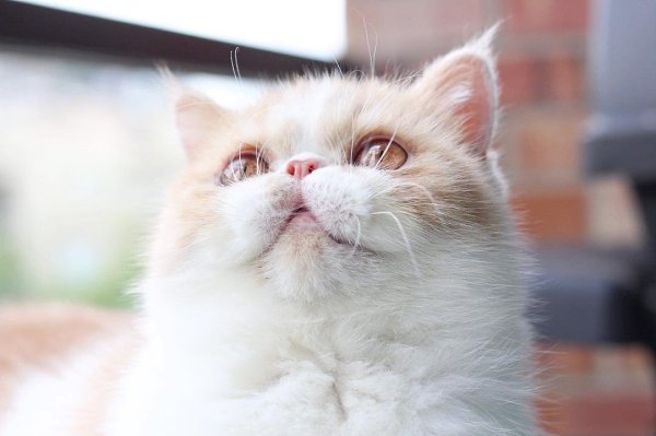    :3 - 8