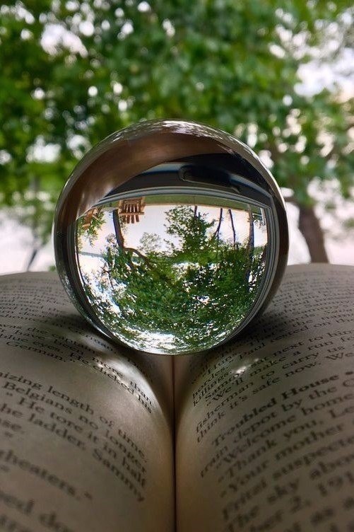    ,    .    ,     . - 5