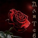 ���� ����, ������, 41 ��� - ��������� 10 ������� 2019 � ������ ���� ����������