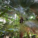  , - -  8  2019    2019.