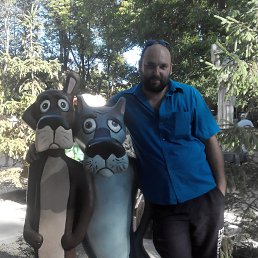 ���� ���, �����������, 45 ��� - ��������� 24 �������� 2018