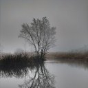 ���� ��������� �������� ����, ���������, 50 ��� - ��������� 23 ������� 2019