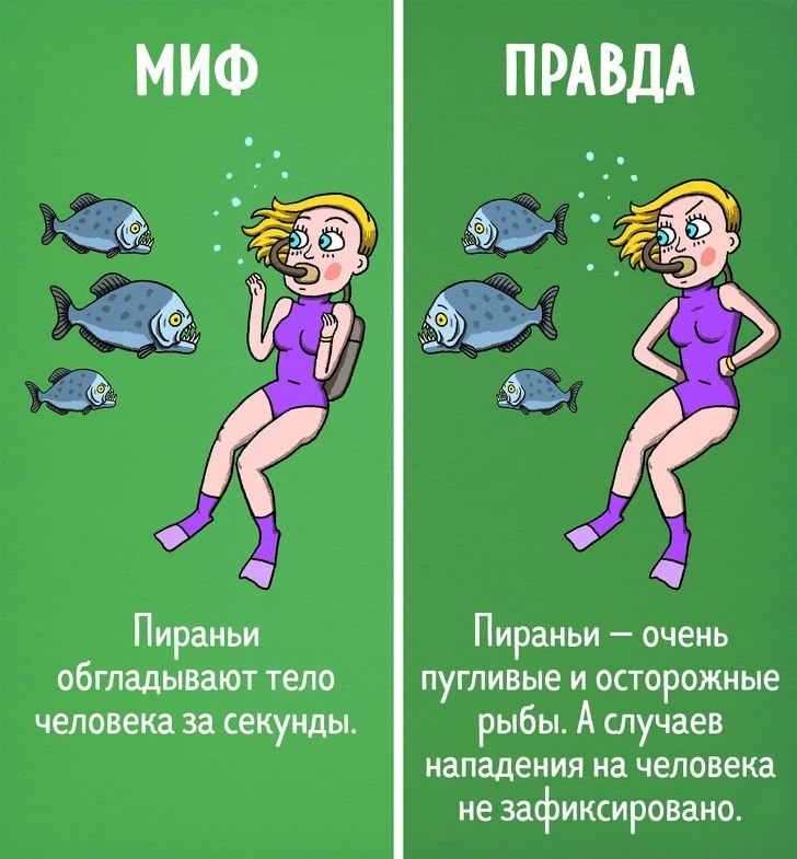  ,      - 4