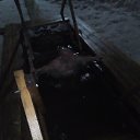 ���� ���������, ������������, 41 ��� - ��������� 19 ������ 2019 � ������ ���� ����������