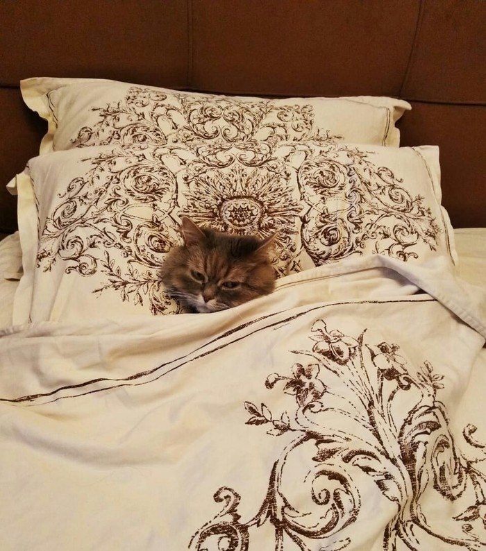   ,    , ,  ,    