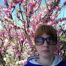 �����, �����������, 48 ���