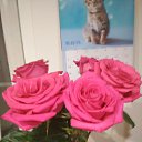 ���� Svetlana, �����-��������, 57 ��� - ��������� 27 ������ 2019 � ������ ���� ����������