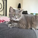 ���� ������, ���������, 56 ��� - ��������� 19 ������� 2019 � ������ ���� ����������