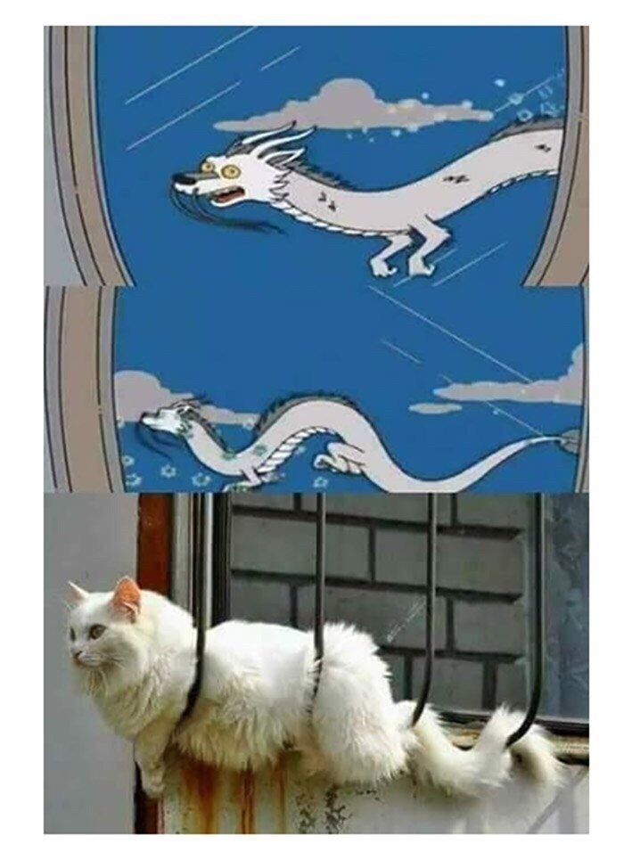 ?