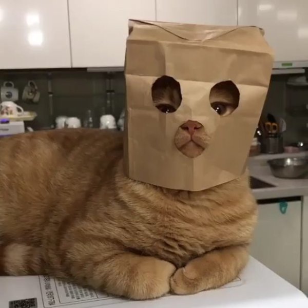  !  