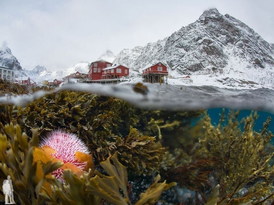       National Geographic. - 7