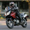 ���� ����, ������, 41 ��� - ��������� 17 ������ 2018 � ������ ���� ����������