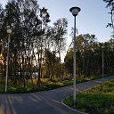 ���� �����, ��������, 44 ���� - ��������� 8 ������� 2018 � ������ ���� ����������