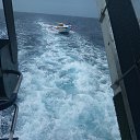 ���� ������, �����-���������, 67 ��� - ��������� 22 ������ 2019 � ������ ���� ����������