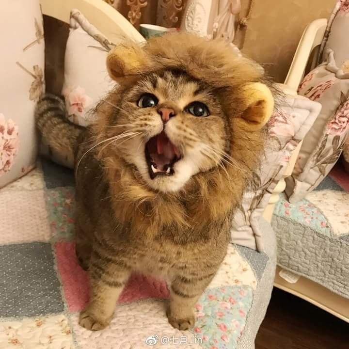   :3 - 5