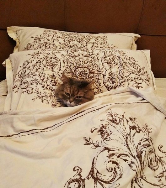 Тот сладкий момент, когда проснувшись с утра, думаешь, что пятница, а оказывается — суббота