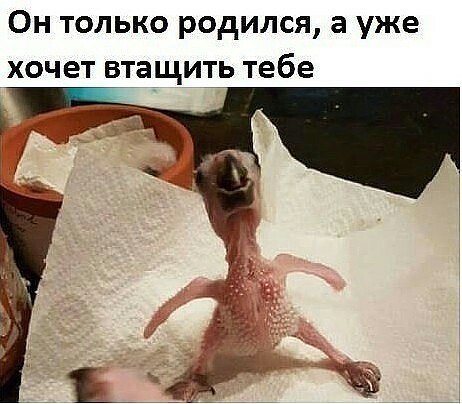 The  - 27  2019  23:46