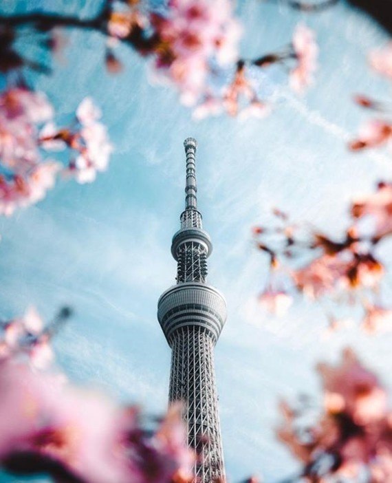 ������� ����� �� �����