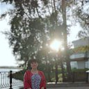  ,  , 50  -  25  2018    