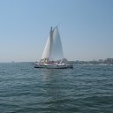 ���� �����, ����� - ��������� 11 �������� 2018 � ������ �����