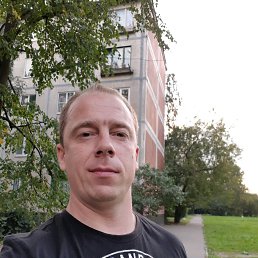 �����, �����-���������, 41 ���