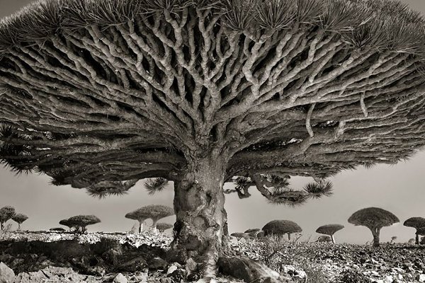    -   (Beth Moon)   ,  ... - 2