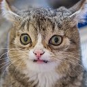 ���� �����, ������, 34 ���� - ��������� 28 ������ 2019 � ������ ������ ��������