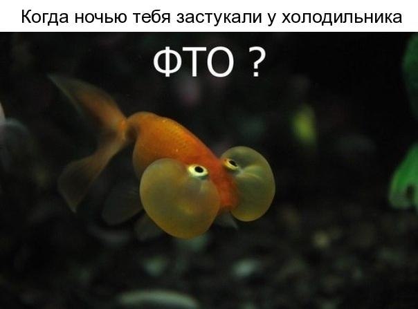   - 16  2018  16:46