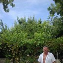 ���� ������, �����������, 61 ��� - ��������� 26 ���� 2018 � ������ ���� ����������