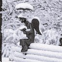  ,  -  23  2019   