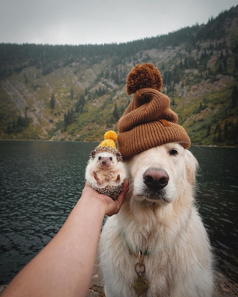 -.: https://fotostrana.ru/away?to=/sl/qcG ()#@ican