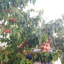 ���� ��������, ������, 61 ��� - ��������� 17 ���� 2018 � ������ ���� ����������