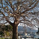 ,,28.02.19.8.55.   -   2019