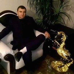 ����, ������, 42 ����