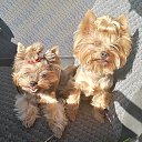 ���� �����, �������, 47 ��� - ��������� 15 �������� 2018 � ������ ��������ܻ