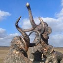 ���� �����, �������, 53 ���� - ��������� 18 ������� 2018 � ������ ���� ����������