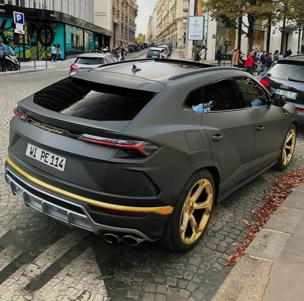 Urus  ae, a a?