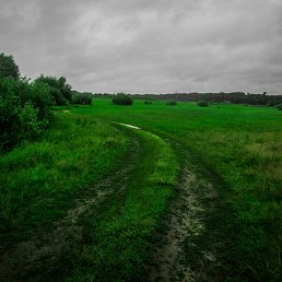 �����, �����, 49 ���