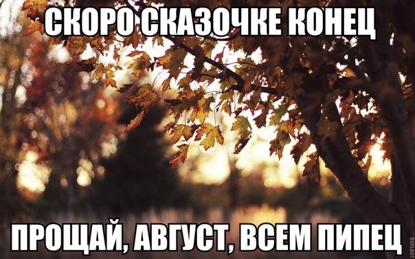 ☆   ☆ - 29  2018  16:29