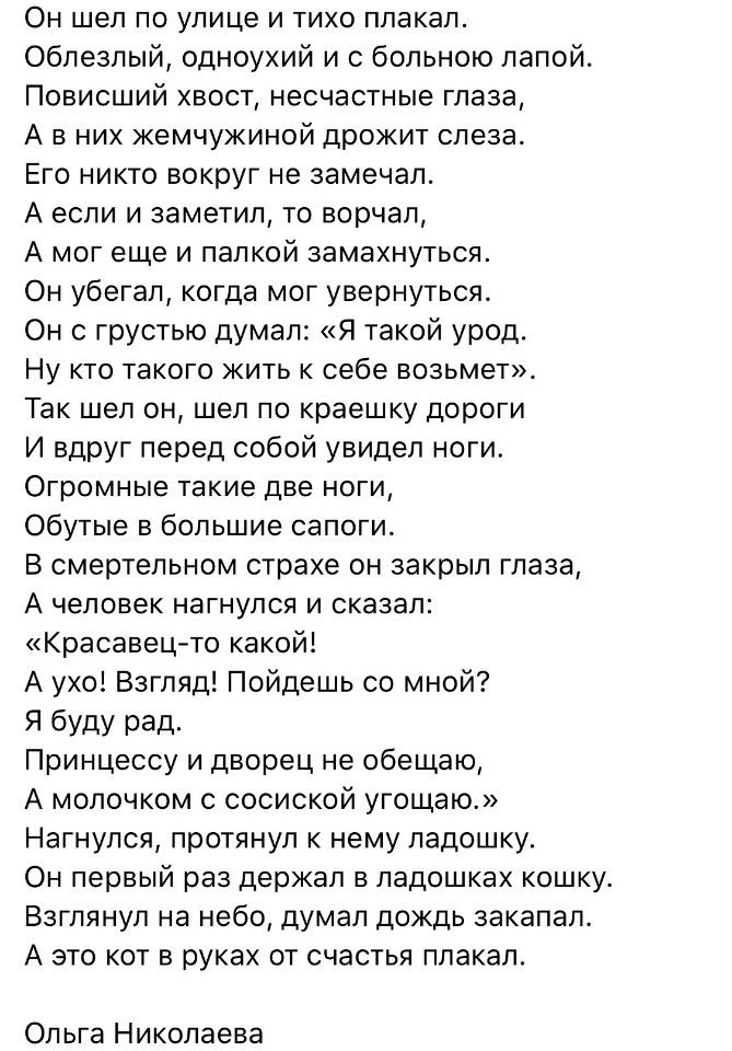 Стихотворение он шел по улице и тихо плакал. Стих Ольги Николаевой счастье. Стих повисший хвост несчастные. Стихотворение повисший хвост несчастные глаза. Плакать беззвучно
