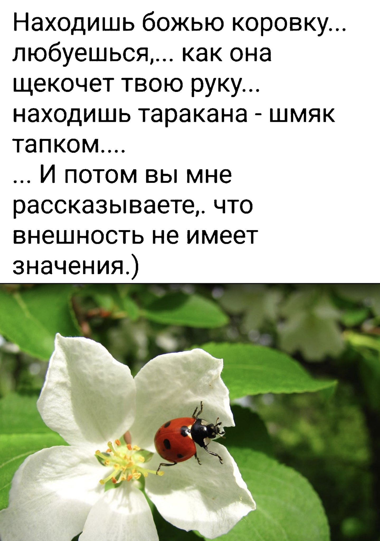  - 14  2019  14:16