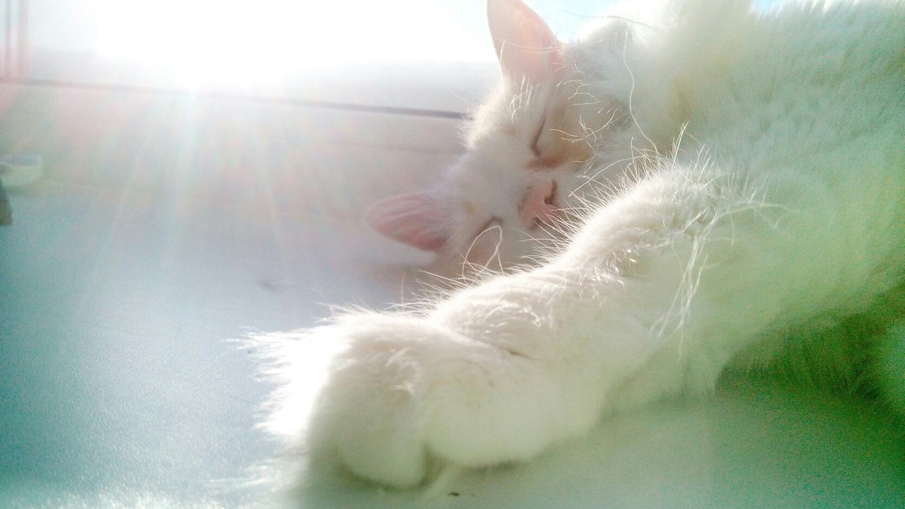Ҹ  :3