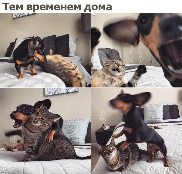��� ���� � ����� �� �� - 14 ������ 2018 � 16:51