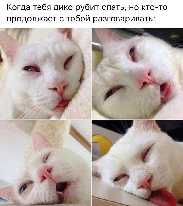       - 12  2018  16:33