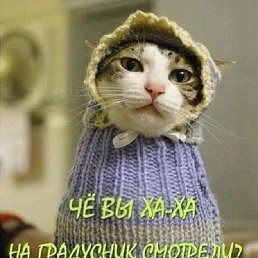 ���� Serega, ������������ - ��������� 8 ����� 2019