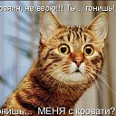 ���� Voldemar, �����-���������, 47 ��� - ��������� 1 ������� 2018 � ������ ���� ����������